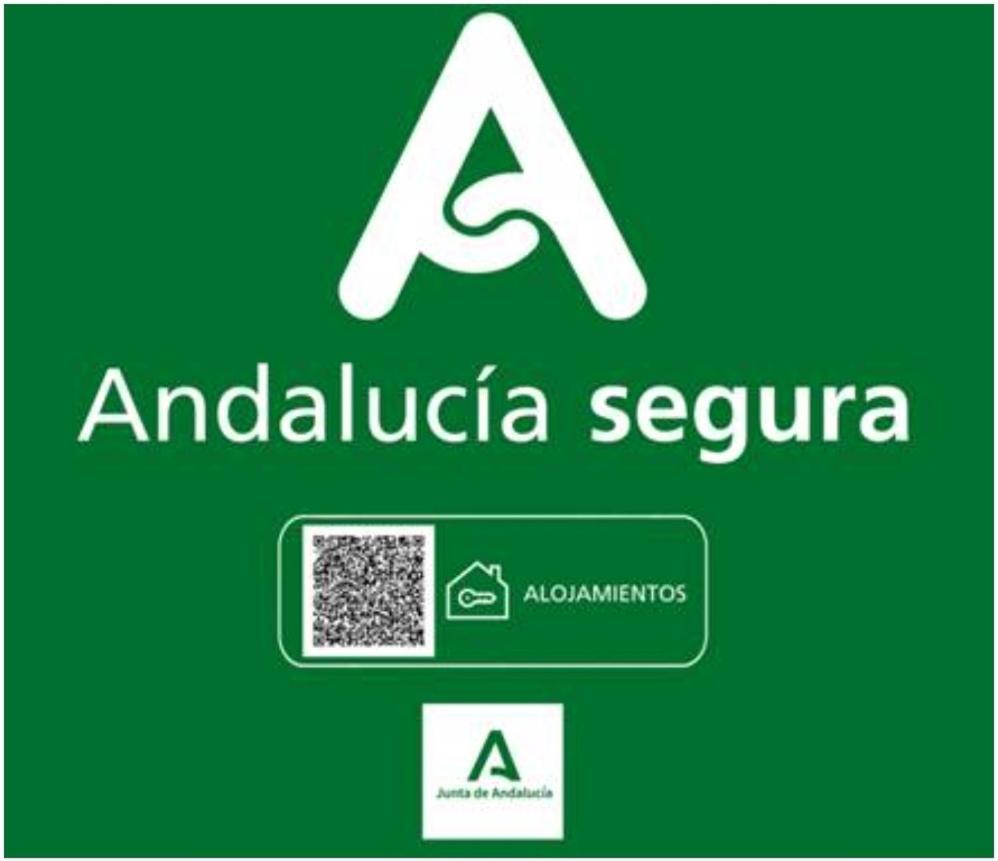 Todosierranevada Zona Baja - Edificio Atlas - Vistas A La Montana - Junto A Los Telecabinas Sierra Nevada Buitenkant foto